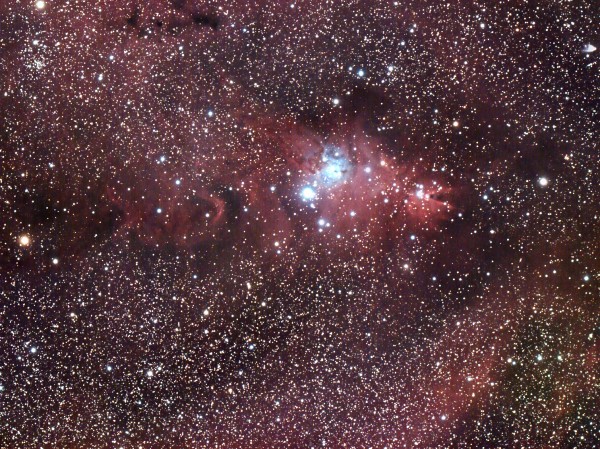 La nébuleuse du Cône, NGC2264